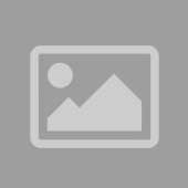 Dolore vel dicta vol